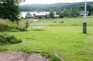 Utsikt från en hästgård i Hälsingland