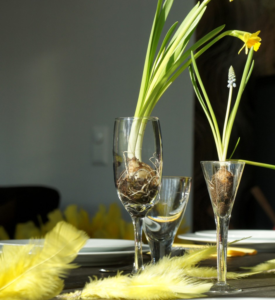 Minipåsklilja i champagneglas och pärlhyacint i snapsglas