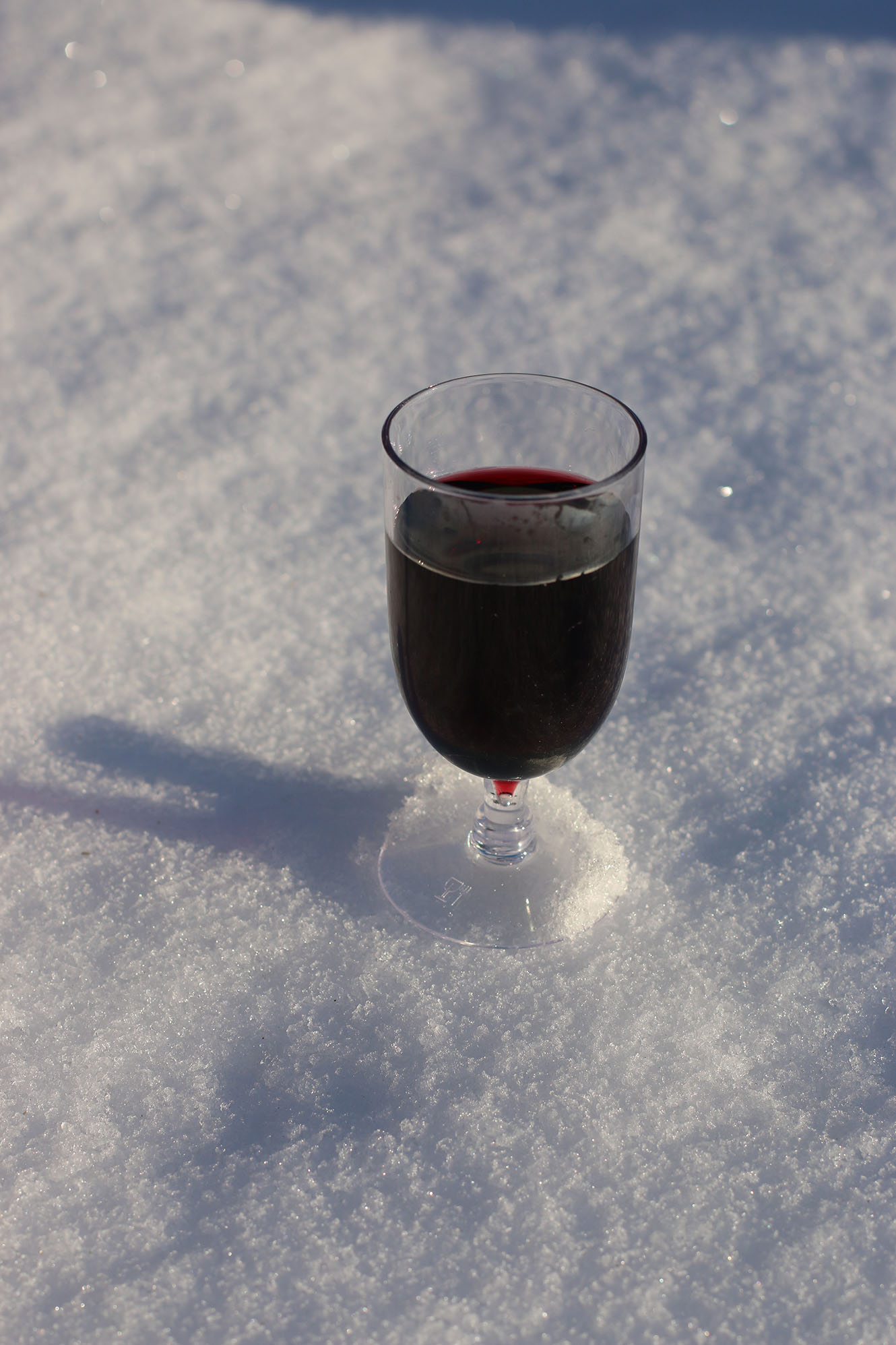 IMG_1067 vin i snö x