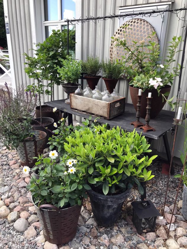 På blixtvisit hos Villa Sjövik