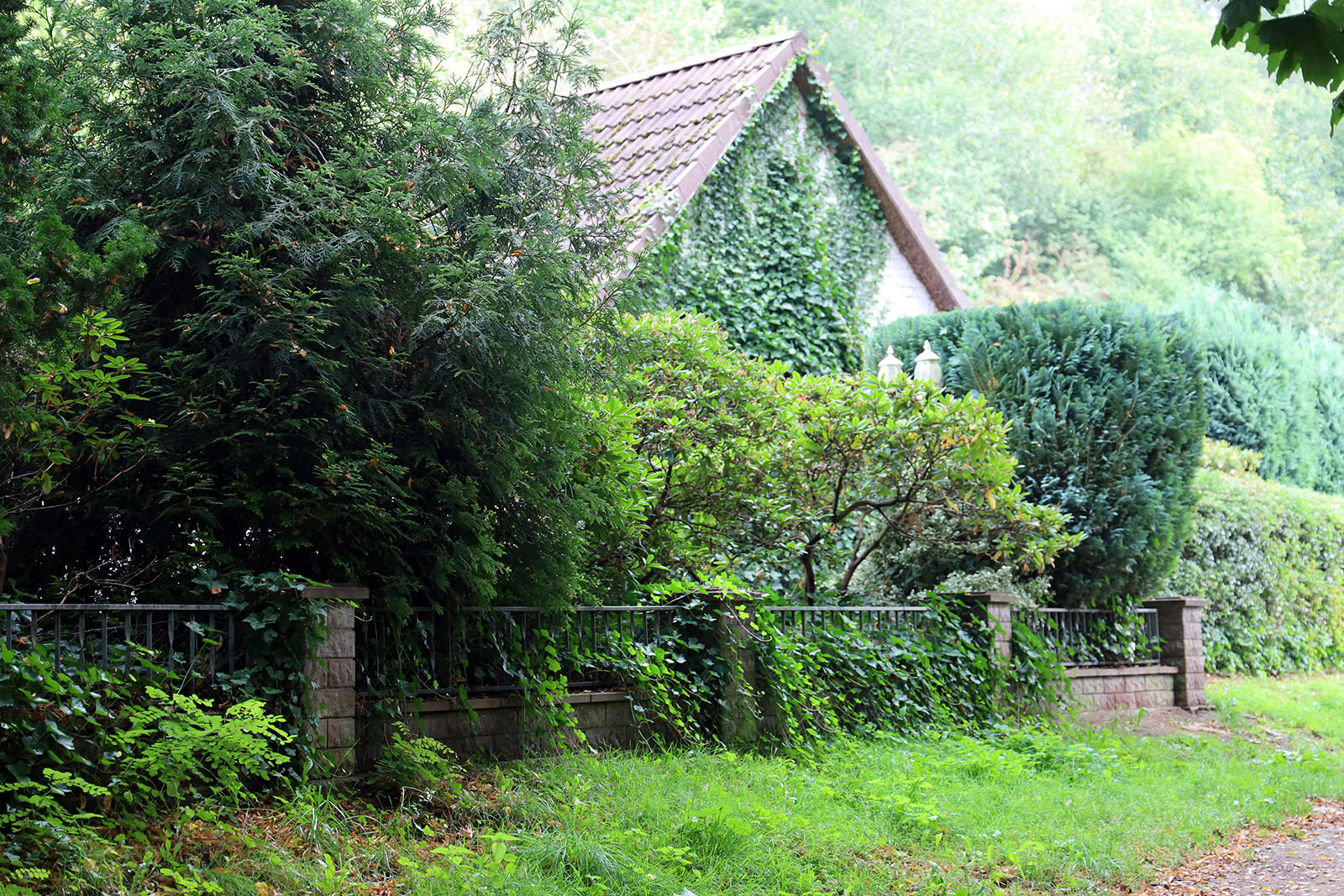 En lummig villaträdgård i Margaretental i Kiel