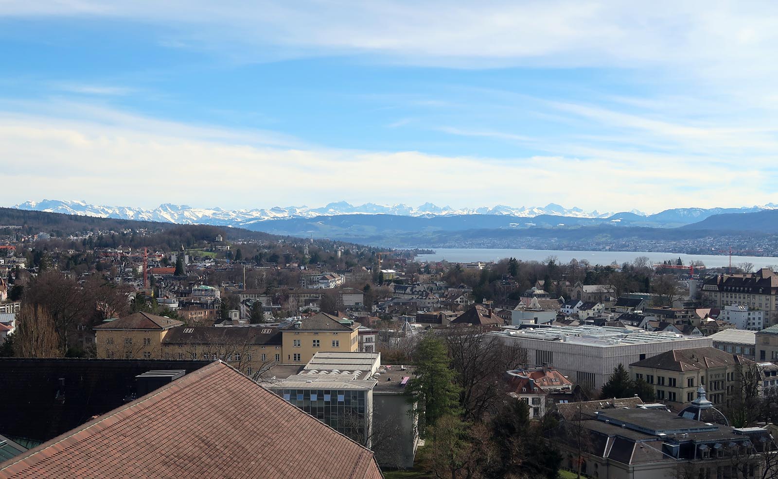 utsikt över alperna och Zürichsjön