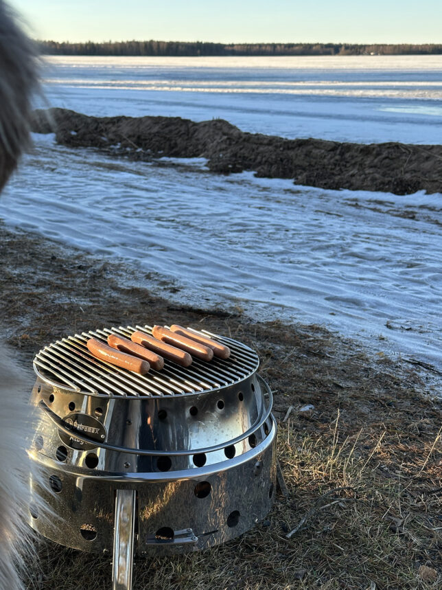 korvgrillning