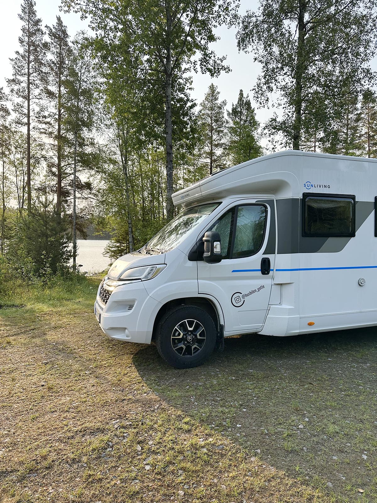 God morgon från skogen