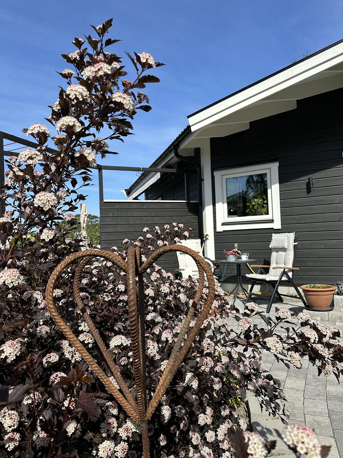 blommande trädgård