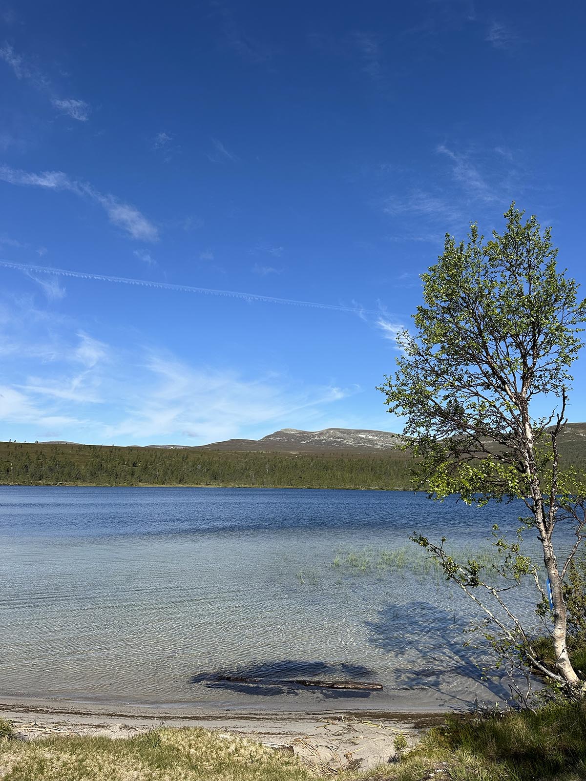 Sjöstugans camping i Grövelsjön
