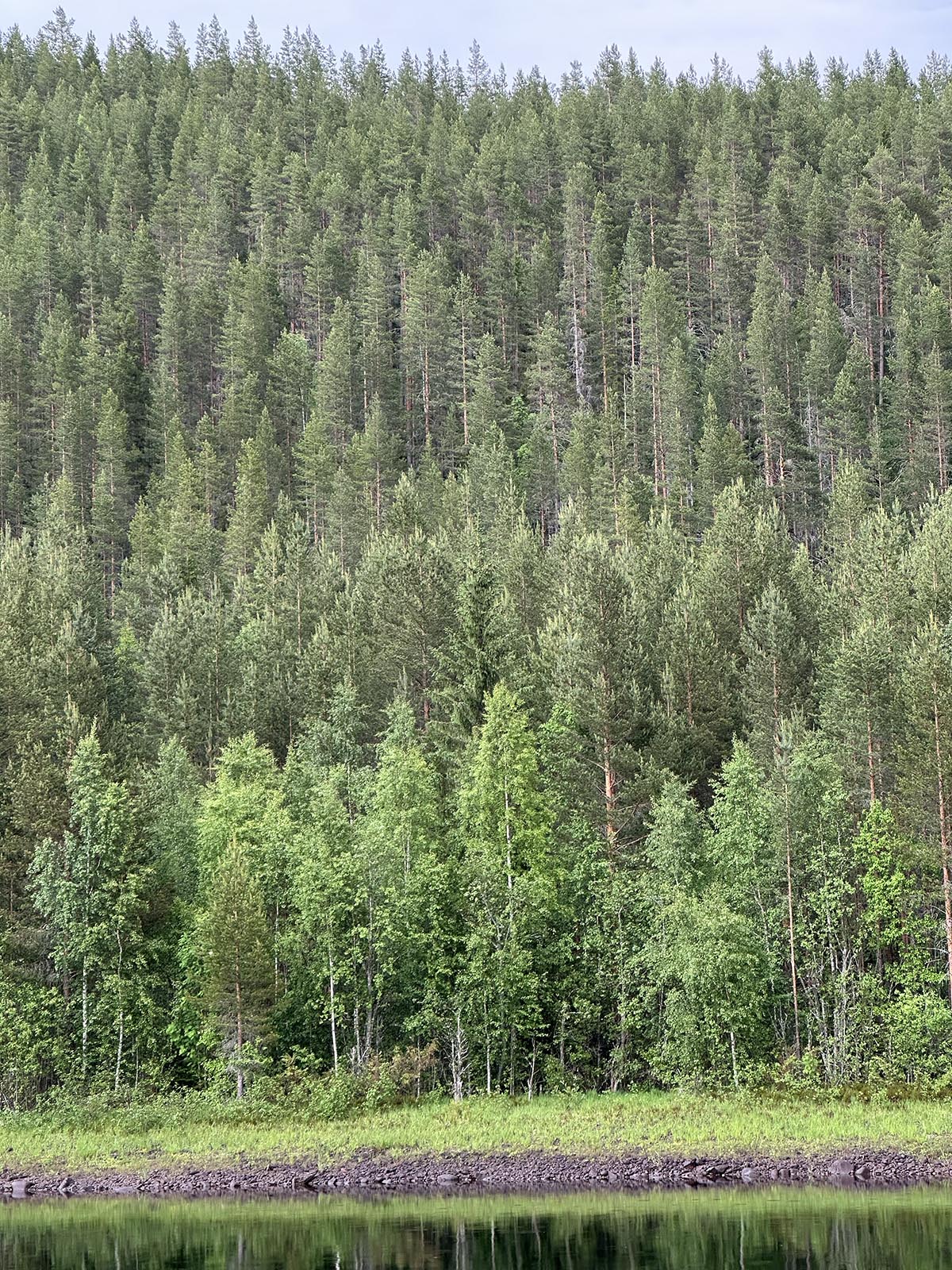 magisk kväll avslutade resan