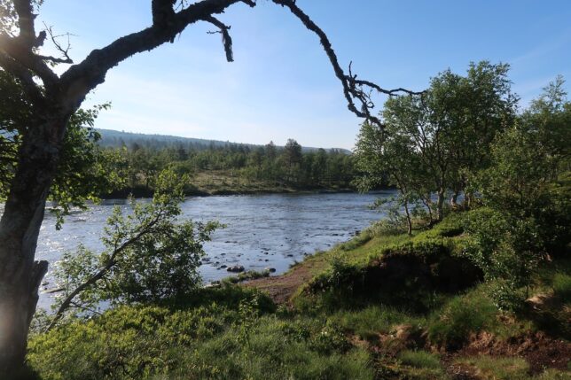 åker norrut över midsommar