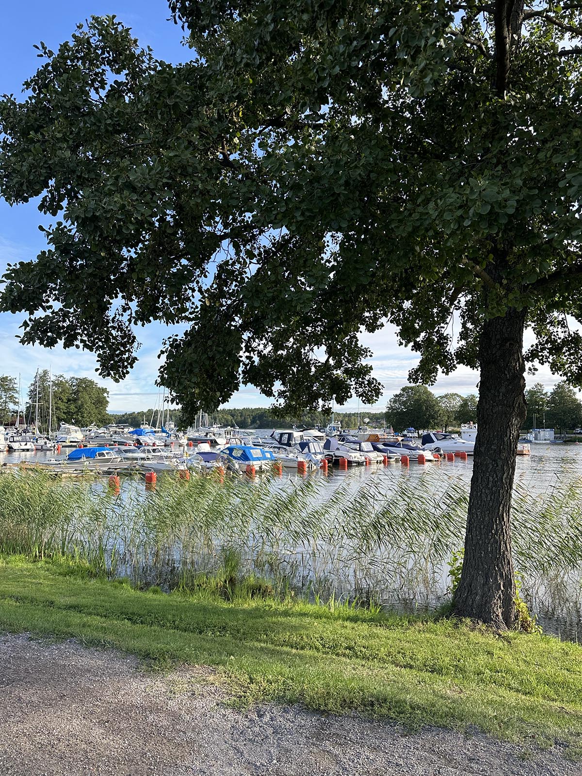 pw längs Mälarens strand