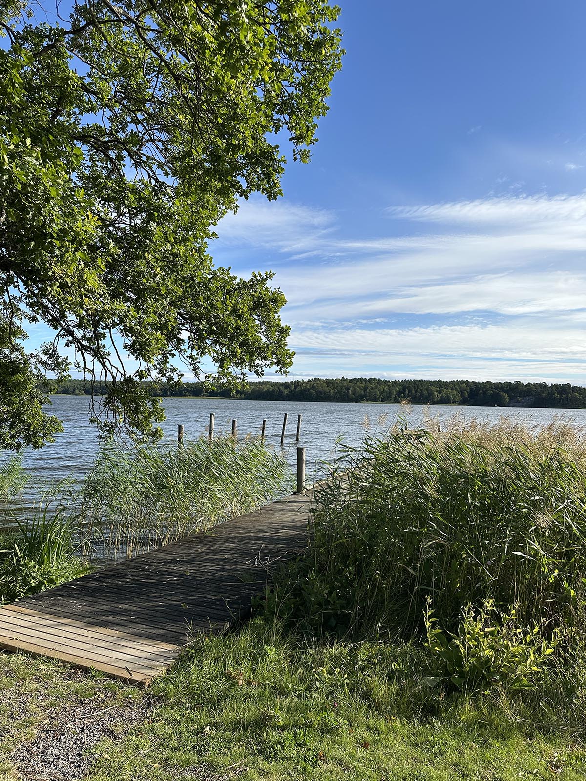 pw längs Mälarens strand