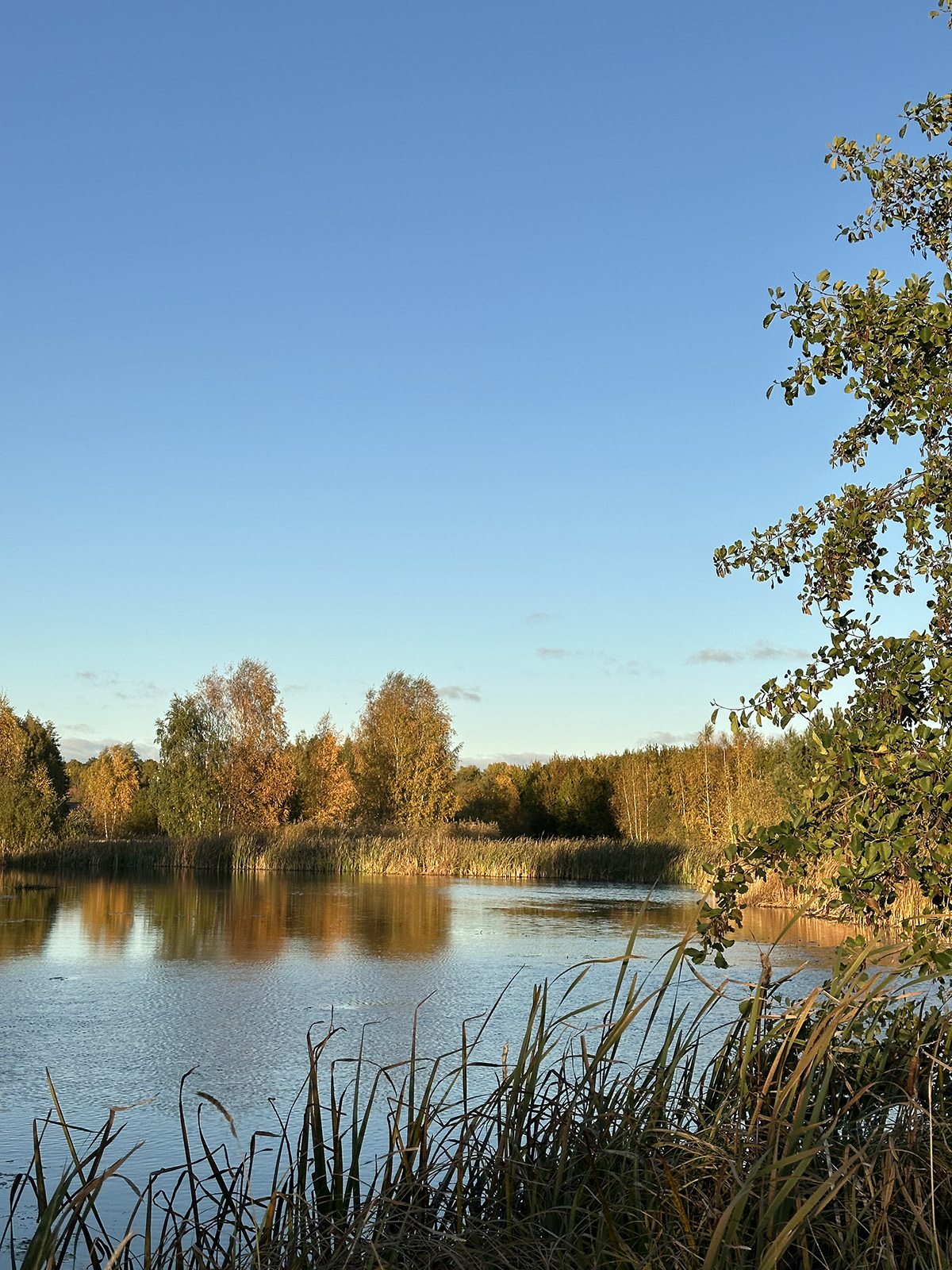 vacker höstpromenad