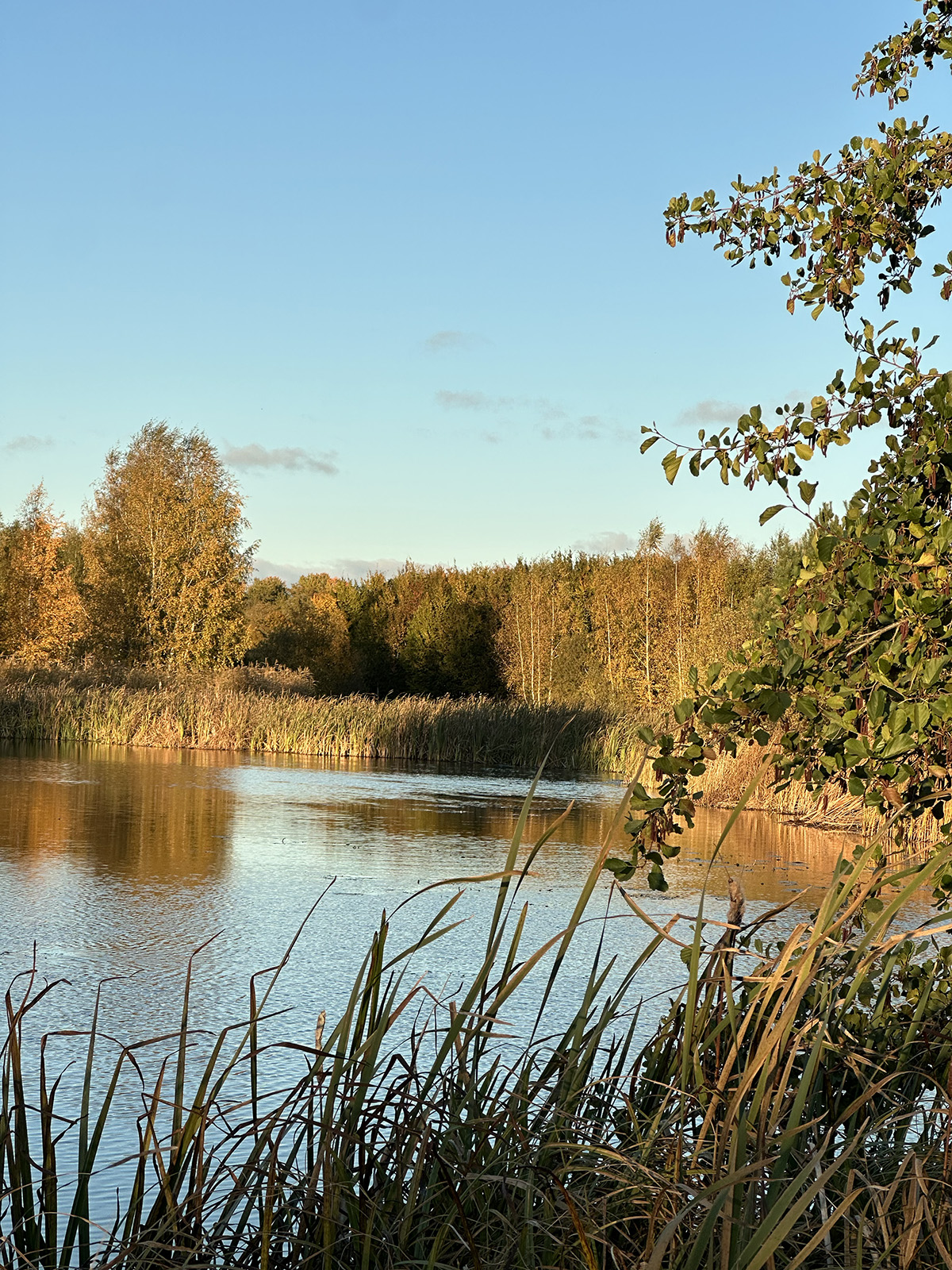 vacker höstpromenad