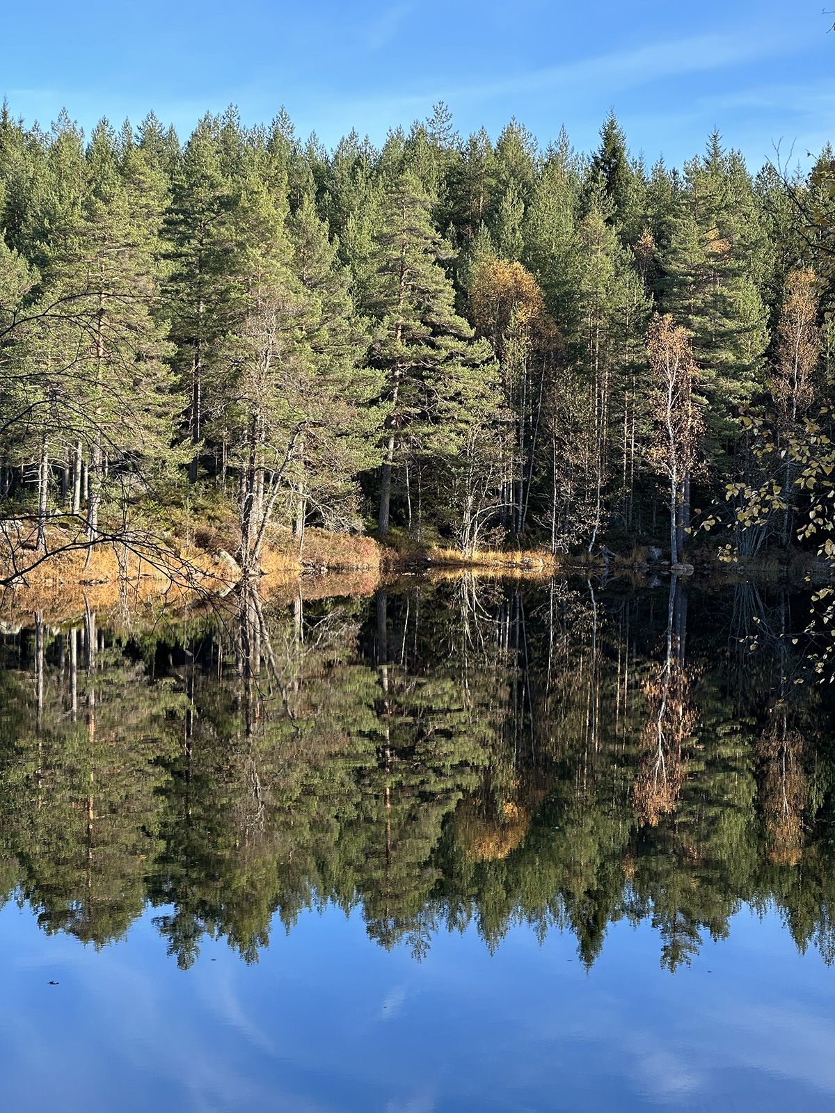 parkerade husbilen i becksvart mörker