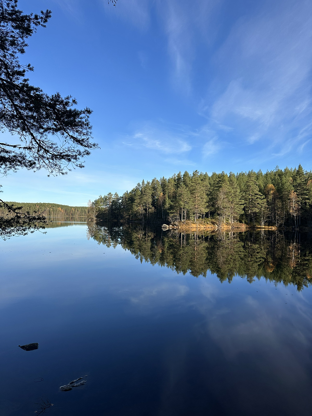 parkerade husbilen i becksvart mörker
