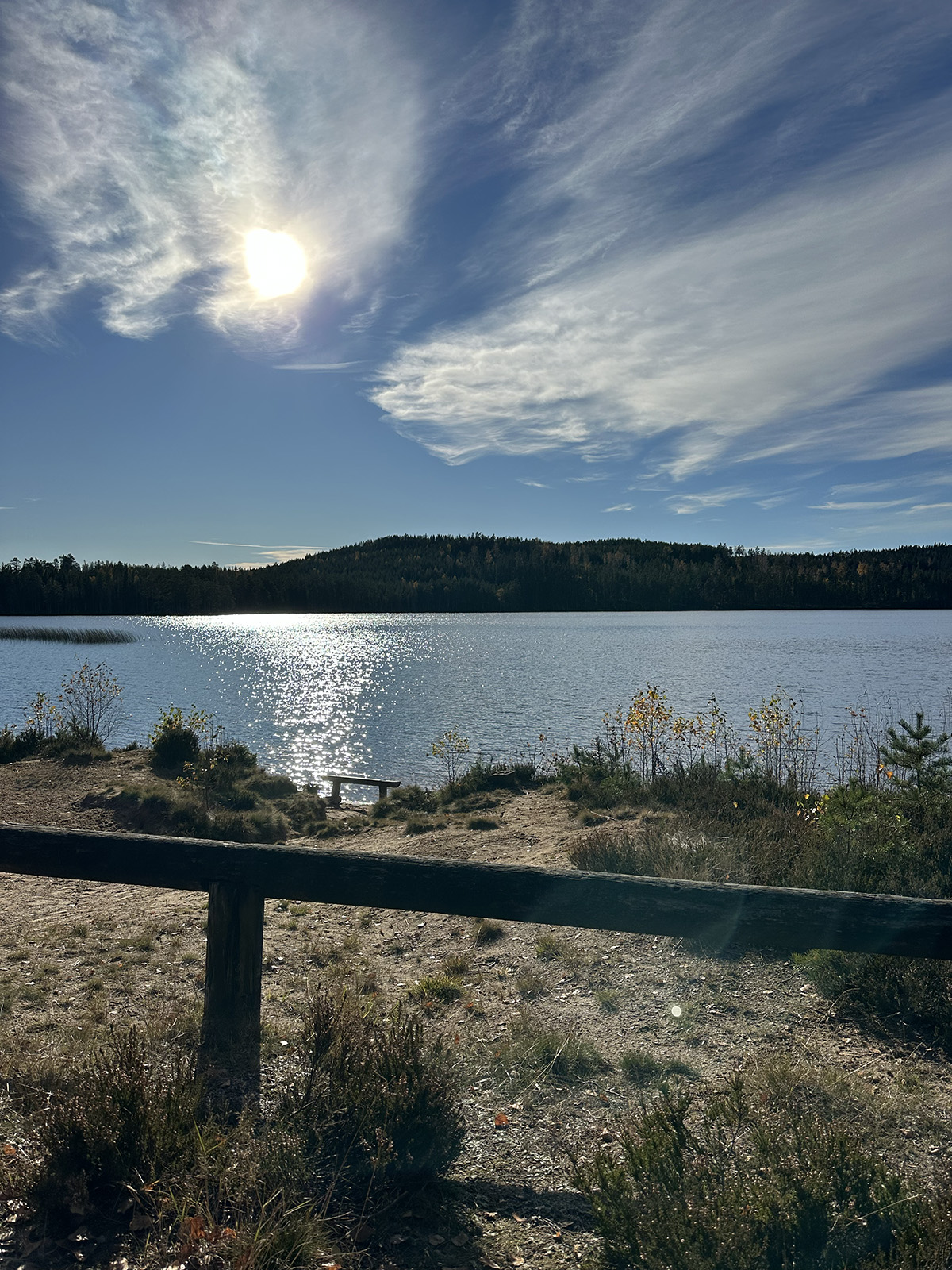 fantastisk höstdag vid en skogssjö