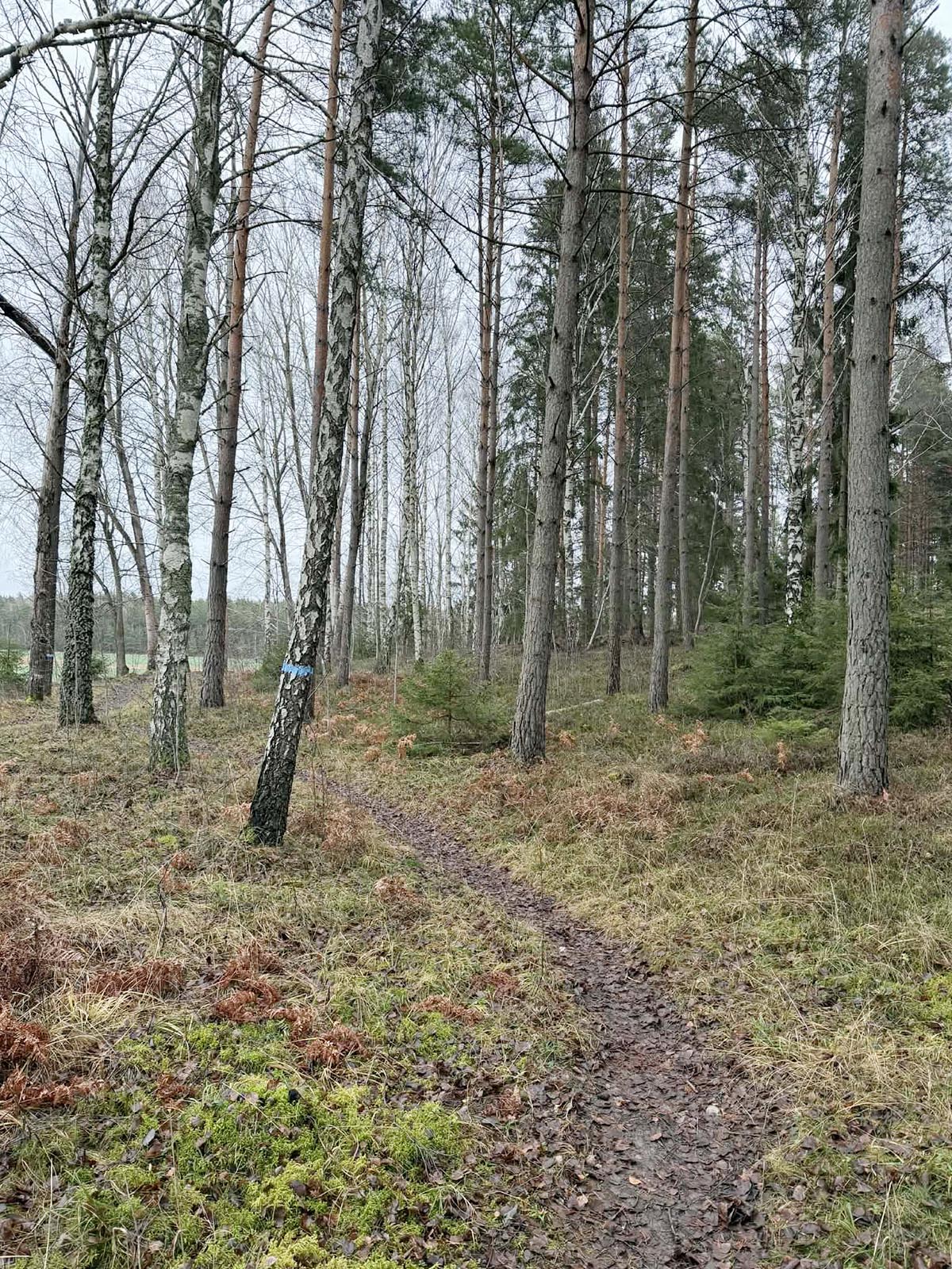vandringstur med regnet hängande i luften