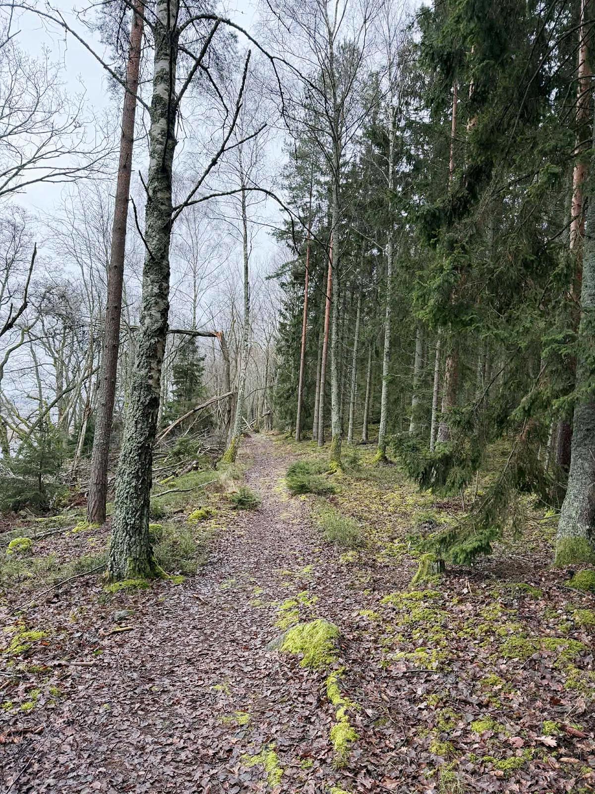 vandringstur med regnet hängande i luften