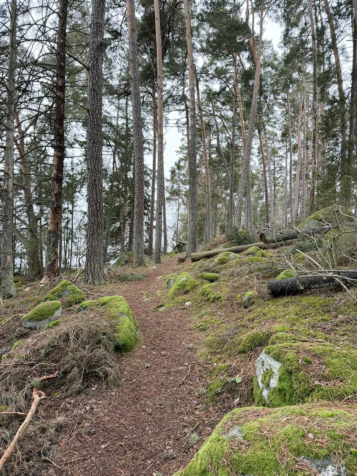 vandringstur med regnet hängande i luften
