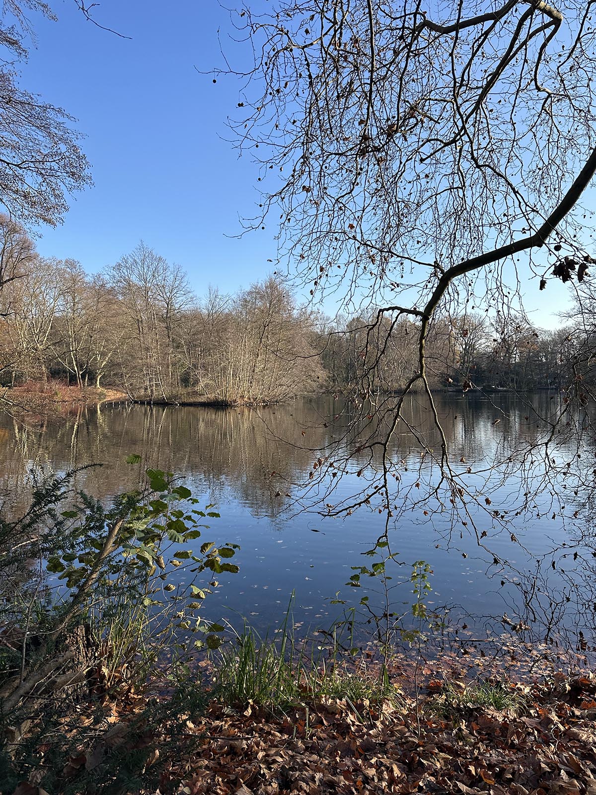 60-årsdagen firades i Berlin