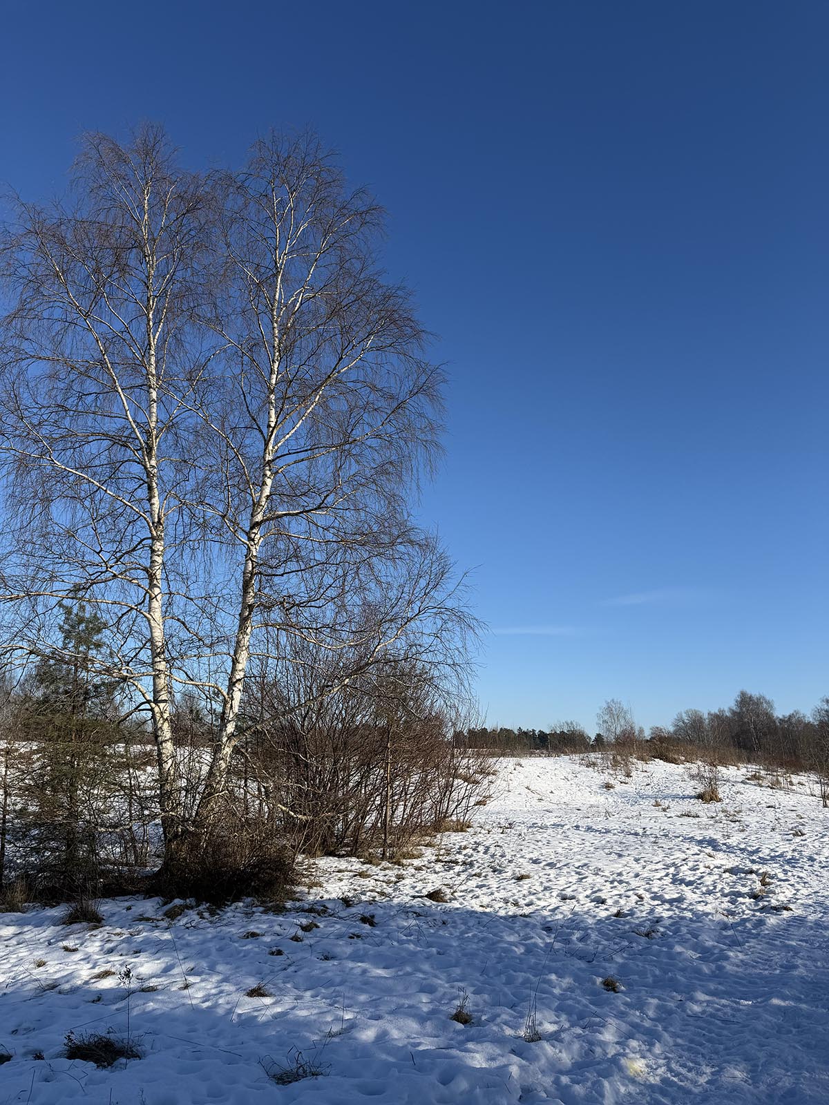 Alla hjärtans dag bjöd på blå himmel