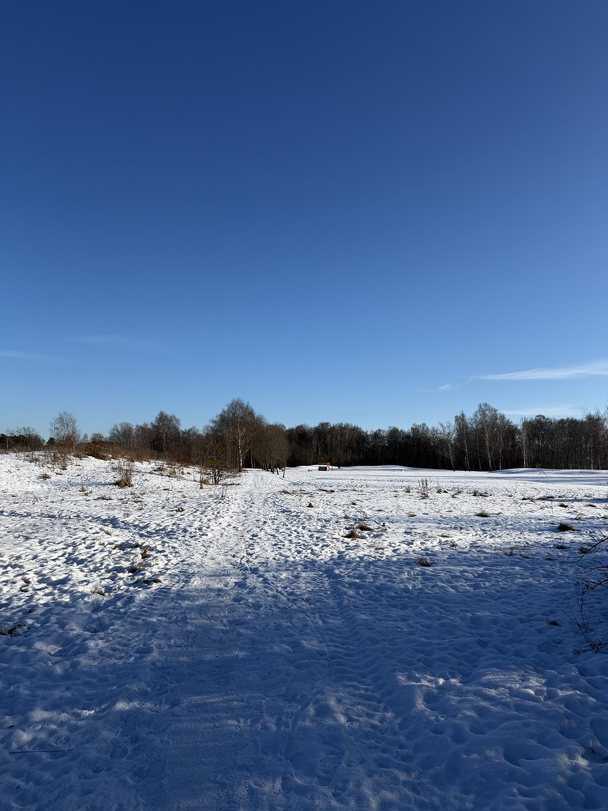 Alla hjärtans dag bjöd på blå himmel