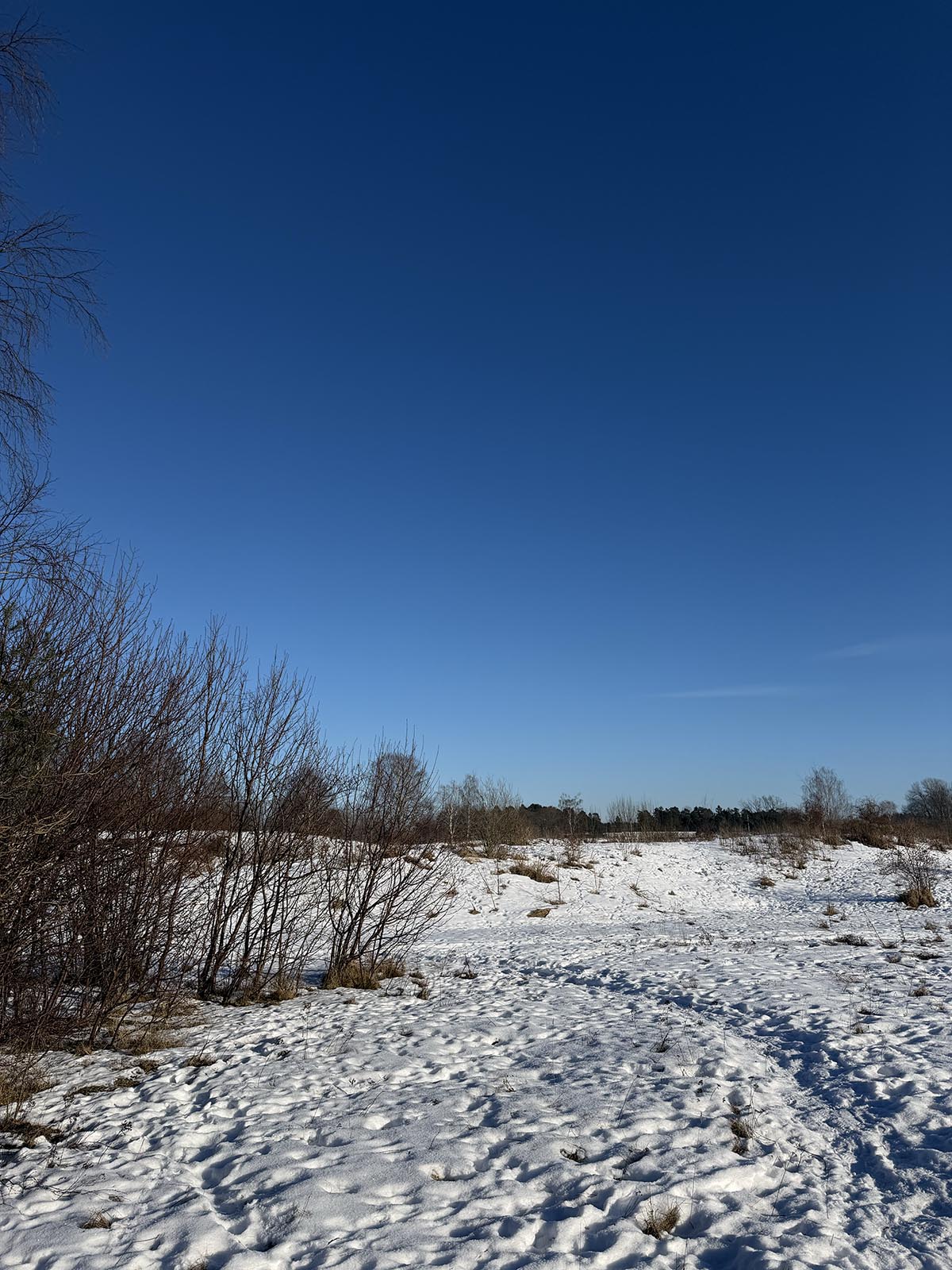 Alla hjärtans dag bjöd på blå himmel