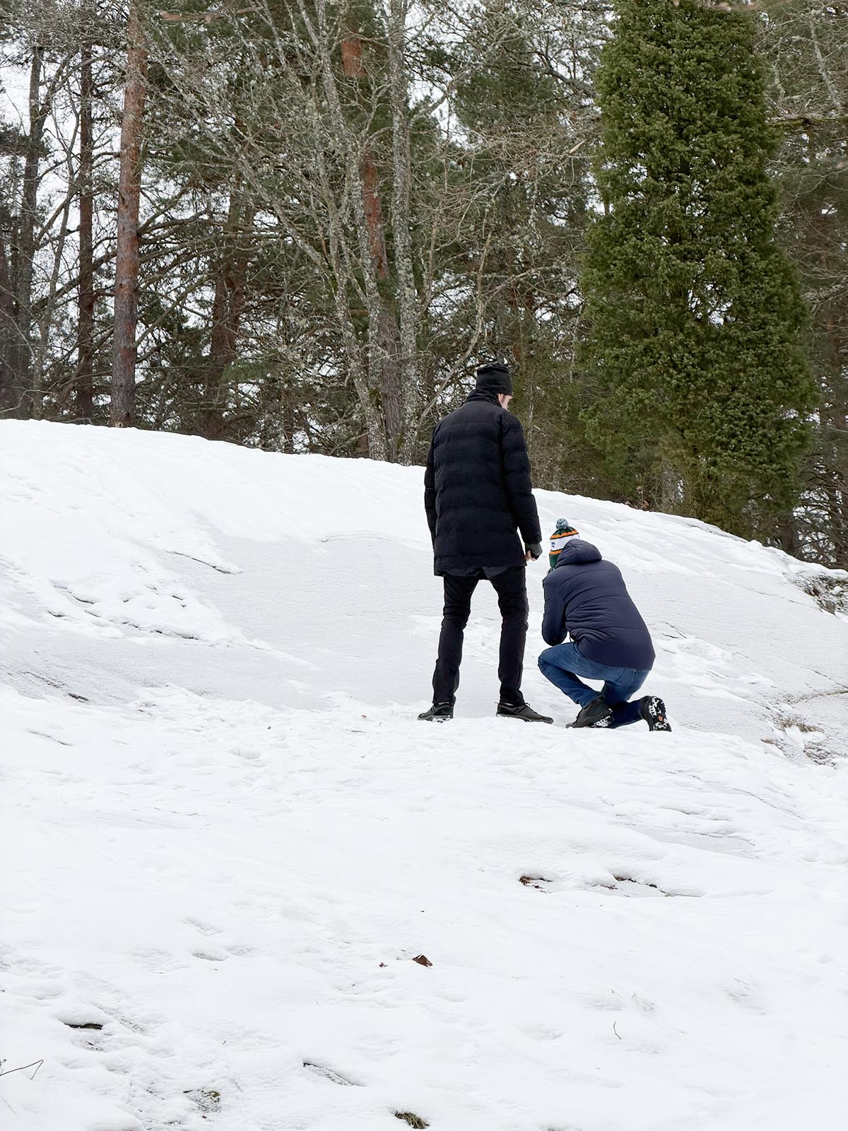 promenad till Sigurdsristningen
