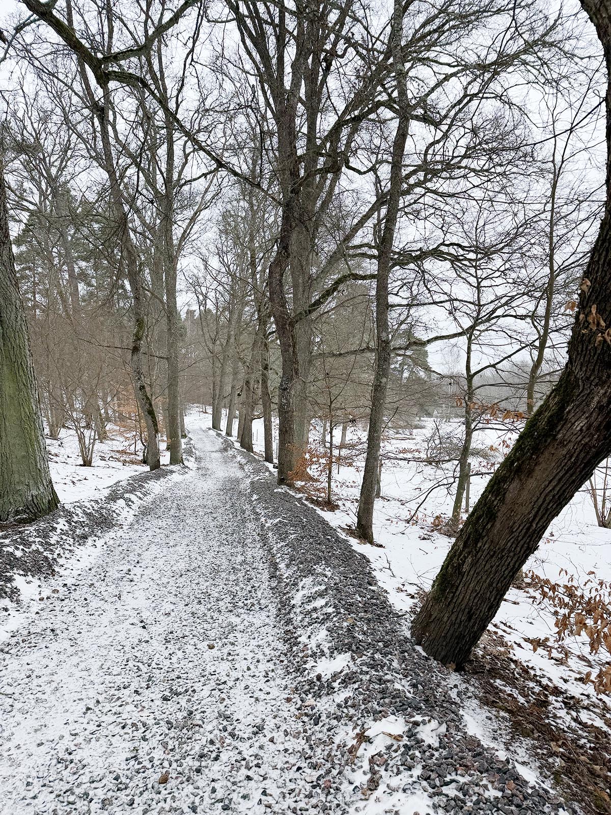 promenad till Sigurdsristningen