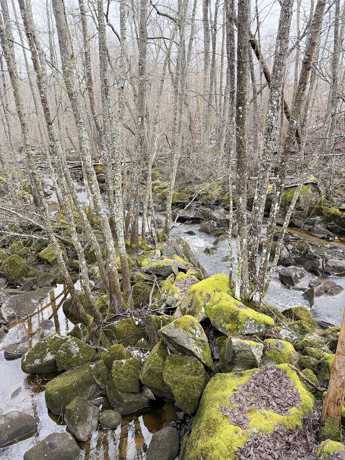 ställplats i Ramnäs