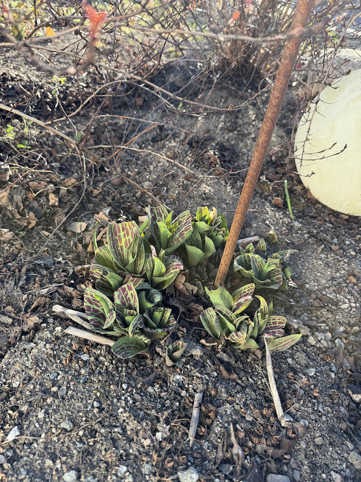 årets första utehelg