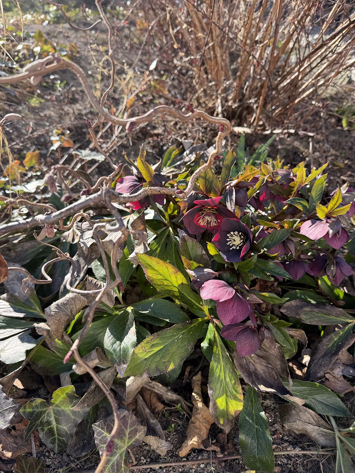 årets första utehelg