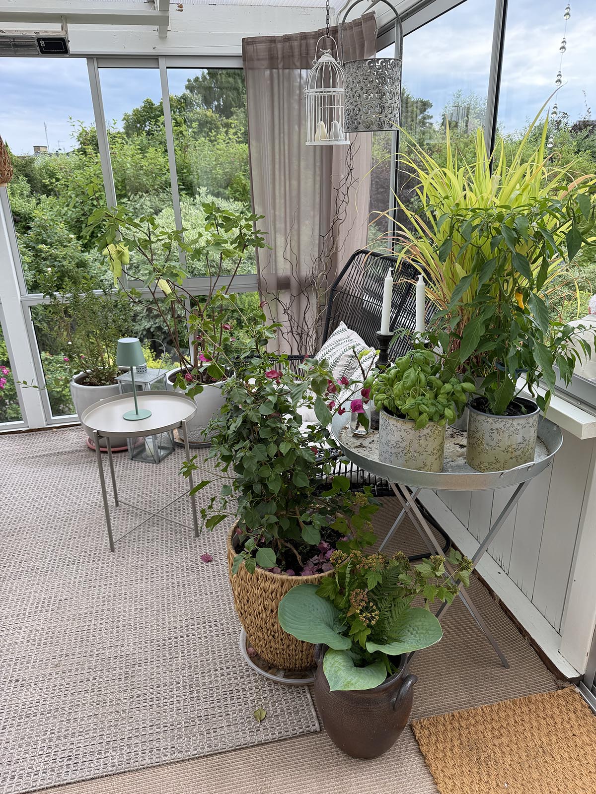 födelsedagslunch