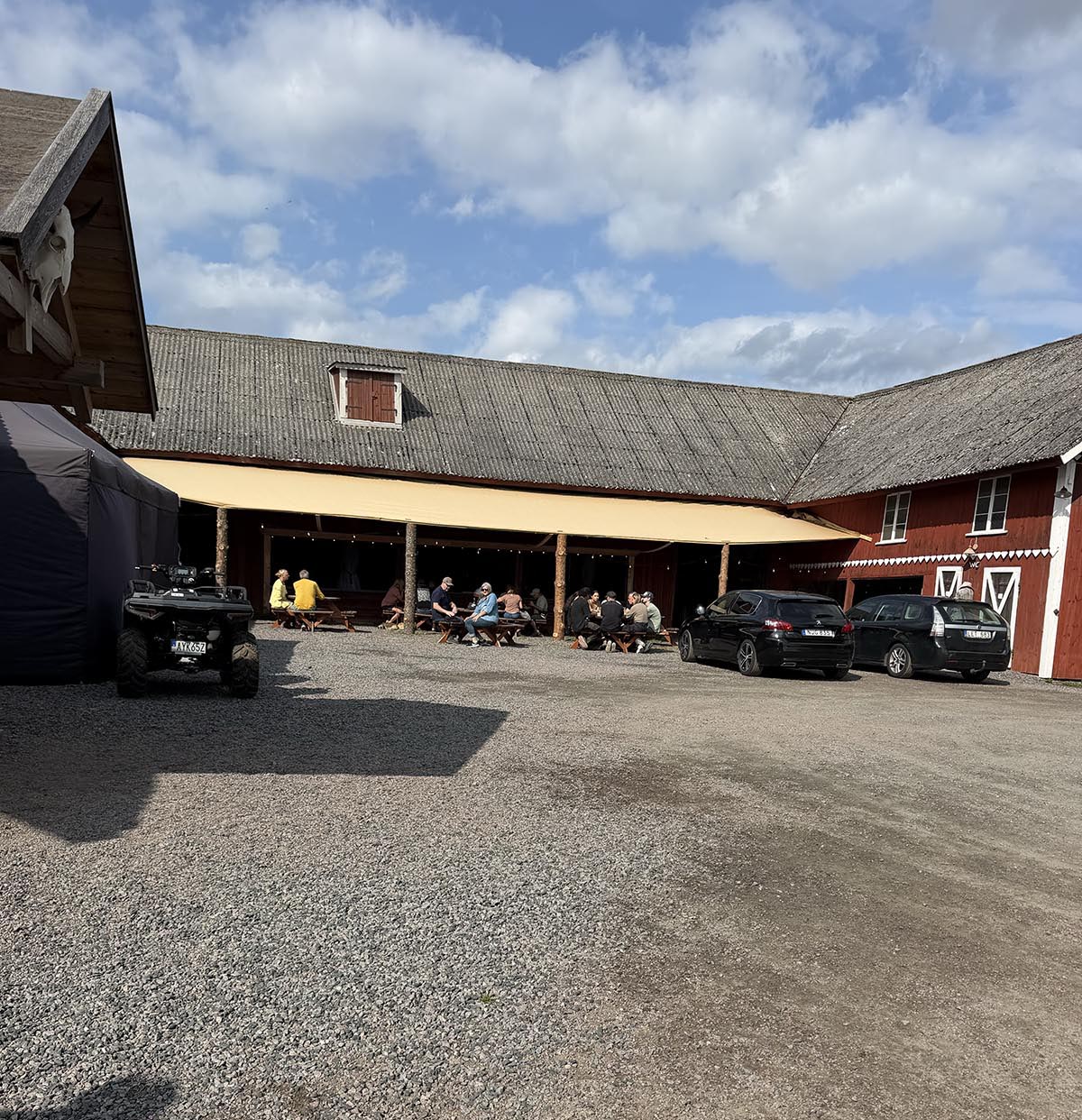 bisonfarm i Västergötland