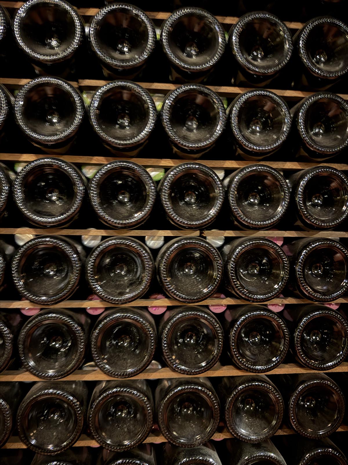 vinprovning av Franciacorta