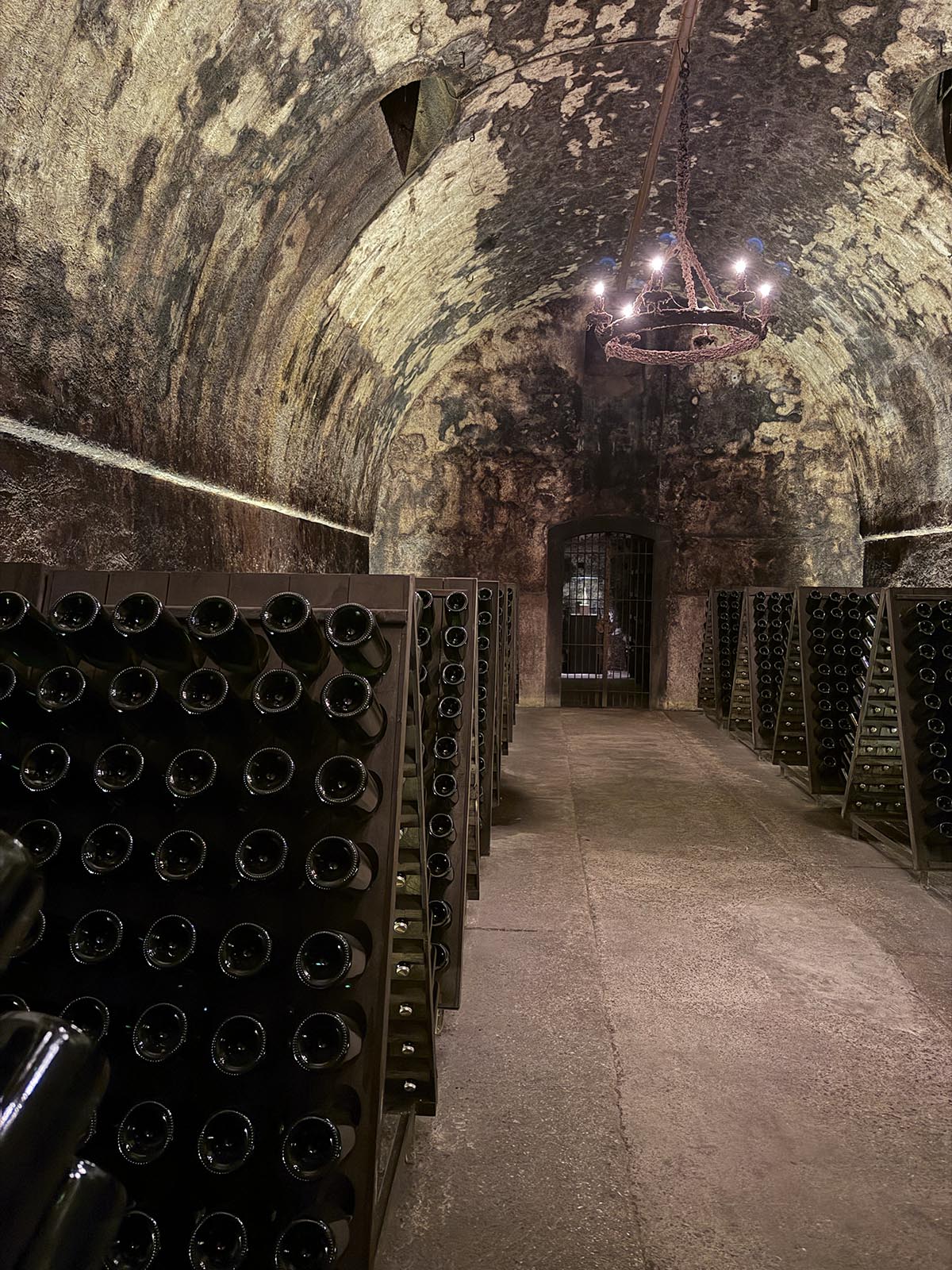 vinprovning av Franciacorta