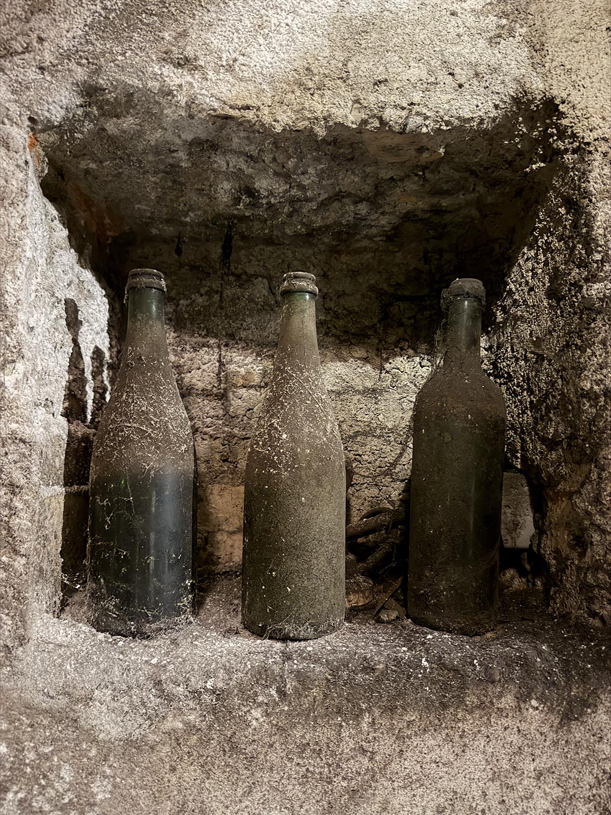 vinprovning av Franciacorta