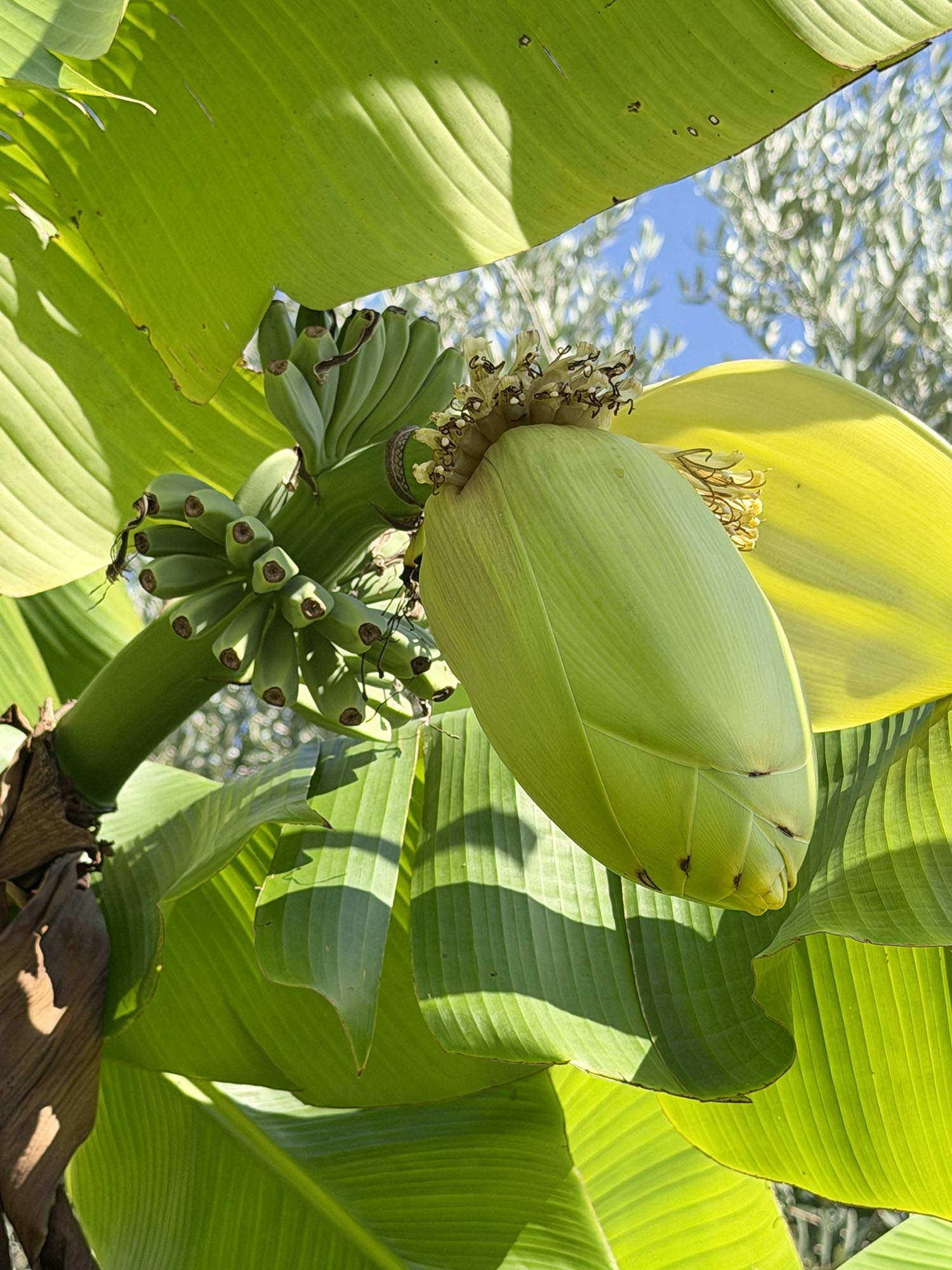 agricamping nära Gardasjön